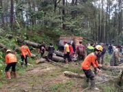 Hujan Deras Disertai Angin Kencang, Banyak Pohon Tumbang, Jalan Sitokop Lumpuh