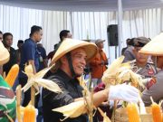 Ketua DPRD Jateng Sumanto Ikut Panen Raya Jagung di Karanganyar