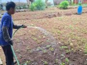 Lapas Batang Bekali Warga Binaan Jadi Petani Milenial
