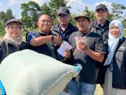 Masa Panen Gadu, Bulog Jateng Siap Serap Gabah Kering Panen