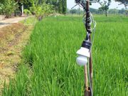 Mahasiswa UIN Kudus Tewas Tersengat Listrik di Sawah, Bermula dari Foto-foto Tengah Malam