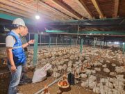 Utamakan Daya Beli Masyarakat, Pemerintah Jaga Tarif Listrik Tetap Terjangkau Sepanjang 2025