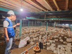 Utamakan Daya Beli Masyarakat, Pemerintah Jaga Tarif Listrik Tetap Terjangkau Sepanjang 2025