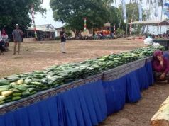 Tok’dok Tellok di Karimunjawa: Menghidupkan Budaya Bugis dalam Menjaga Kerukunan dan Keseimbangan Hidup