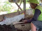 2.000 Lebih Petani Blora Tertarik Kotoran Ternak, DP4 Gencarkan Latihan Buat Pupuk Organik