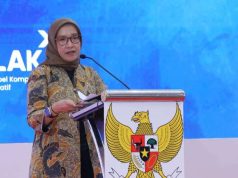 Menteri PANRB: Penyederhanaan Birokrasi Tak Sekadar Perampingan Struktur