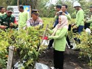 Menggelar Farm Field Day di Kebun Demplot Cabai