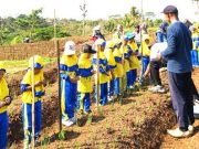 Outing Class Tema Edukasi Pertanian untuk Mencintai Bidang Agraris