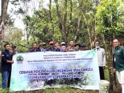 Kiat Pulihkan Kembali Kejayaan Cengkih Sebagai Emas Hijau