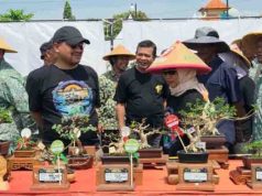 512 Peserta Ramaikan Kontes Bonsai Tingkat Nasional di Pemalang