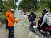 Kondisi Terkini Banjir Grobogan: Ribuan Rumah dan Ratusan Hektare Sawah Terendam