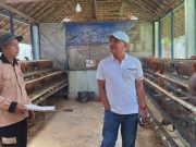 Sumanto Ajak Masyarakat Beternak Ayam karena Menguntungkan
