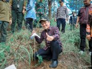 Dorong Gerakan Reboisasi, Jatubu Tanam 23 Ribu Bibit Kopi di Wonosobo