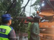 Hujan Deras Disertai Angin Kencang, Pohon Tumbang Timpa Truk di Jalan Kudus–Pati