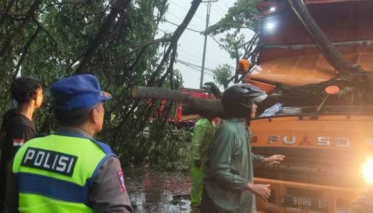 Hujan Deras Disertai Angin Kencang, Pohon Tumbang Timpa Truk di Jalan Kudus–Pati