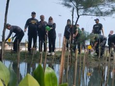 Wakil Wali Kota Tegal: Penanaman Mangrove Jadi Warisan Generasi Mendatang
