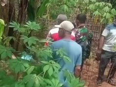 Bayi Laki-laki Ditemukan Tak Bernyawa di Ladang Pisang Kudus, Diduga Dibuang Ibunya