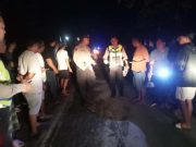Suami-Istri dan Dua Anak Tewas Kecelakaan di Plupuh Sragen, Diduga Korban Tabrak Lari Mobil Pikap Hitam