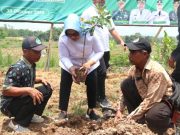 Kementerian Pertanian dan PT Pupuk Indonesia Minta 1000 Hektar Lahan di Blora Untuk Tanam Buah-buahan
