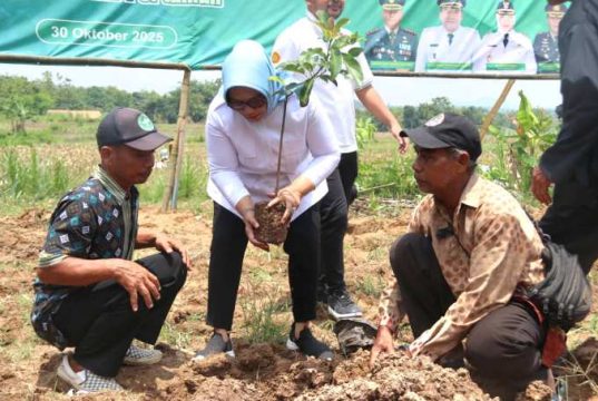 Kementerian Pertanian dan PT Pupuk Indonesia Minta 1000 Hektar Lahan di Blora Untuk Tanam Buah-buahan