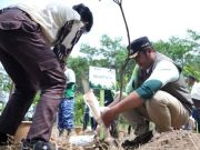 Memperingati HMPI, Menggelar Aksi Jaga Alam Menanam Pohon