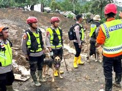 Anjing Pintar K9 Polres Wonogiri Ikut Membantu Pencarian Korban Longsor Banjarnegara