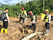 Pencarian Korban Longsor di Banjarnegara Dihentikan, 11 Orang Tidak Ditemukan