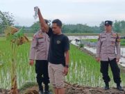 Musibah di Tengah Hujan: Petani Ngaringan Grobogan Tersambar Petir Saat Bekerja di Sawah