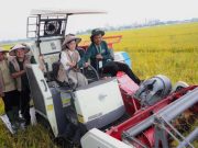 Kementerian Komdigi Uji Coba IoT dan AI Di Sragen, Berhasil Kurangi Pupuk 40 – 50 % per Hektar