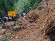 Longsor dan Pohon Tumbang Tutup Akses Jalan Kepil Wonosobo-Bruno Purworejo