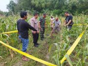 Perempuan di Pandanharum Grobogan Ditemukan Meninggal Dunia di Sawah, Diduga Kambuh Epilepsi