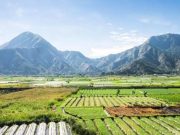 Ide Petualangan Seru Di Lombok: Mendaki Gunung Hingga Menjelajah Pantai