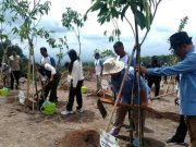 Kementerian Kehutanan Hijaukan Kembali Lahan Bekas Penambangan Merapi