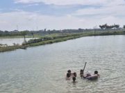 Tak Bisa Berenang, Pemuda Gubug Tenggelam di Embung Baturagung Grobogan