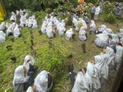 Peringati Hari Guru Nasional, MTs Ismailiyah Nalumsari Gelar Ziarah Massal