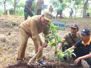 450 Pohon Aneka Buah Ditanam di Kawasan Gua Terawang