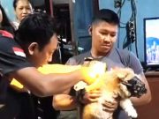 Kali Ini Damkar Menangani Kaki Anjing yang Tertancap Paku