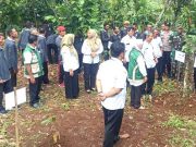 Peluang Besar Bagi Petani, Harga Kakao Dunia Naik Secara Signifikan
