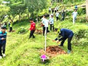 Gerakan Massal Penghijauan, Mengantisipasi Serangan Kera Ekor Panjang