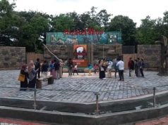 Semarang Zoo Peringati Hari Disabilitas Internasional dengan Aktivitas Edukatif, Kreatif, dan Rekreatif