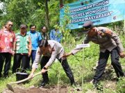 Gerakan Massal Menghijaukan Lahan Kritis di Gunung Kendil