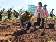 Polres Kebumen Tanam 5.200 Pinus, Petai dan Akasia di Karanggayam