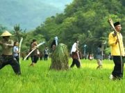 Ritual Thethek Melek, Tradisi Menjaga Harmoni dengan Alam
