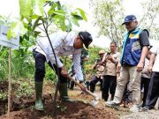 Resmikan 95 Sumur Resapan dan Menanam 1.350 Pohon