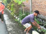 Menghijaukan Lingkungan Membudayakan PHBS