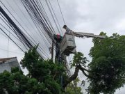 Pemkab Wonosobo Tertibkan Tiang dan Jaringan Fiber Optik Tak Berizin