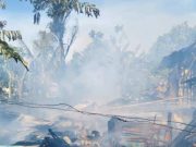 Kebakaran Kandang Ternak di Godong Grobogan, Lima Kambing Tewas Terpanggang