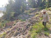 Longsoran Tanggul Sungai Lusi di Kuripan Ditargetkan Diperbaiki BBWS Pemali Juana Awal Tahun 2026
