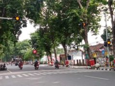Keberadaan Pelican Crossing di Purwodadi Terus Disosialisasikan, Kesadaran Pengguna Jalan Didorong Meningkat