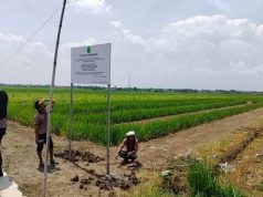 Pengadilan Negeri Purwodadi Laksanakan Eksekusi Riil Lahan Kandangrejo, Sengketa Panjang Berakhir